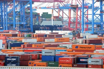 Container im Hamburger Hafen: Experten blicken positiv auf das nächste Jahr.