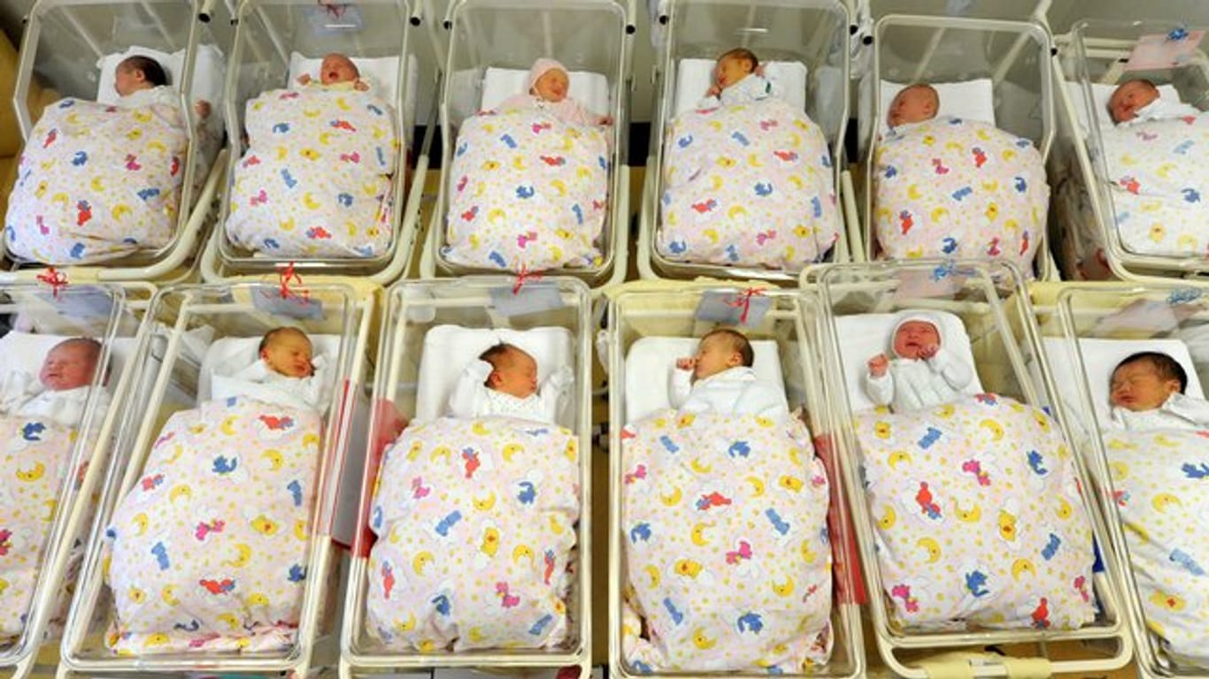 Babys liegen nebeneinander auf einer Neugeborenenstation.
