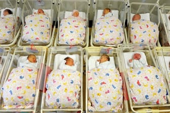 Babys liegen nebeneinander auf einer Neugeborenenstation.