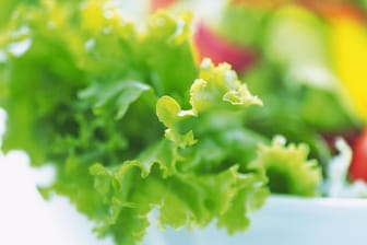 Die zurückgerufenen Salate von Popp Feinkost wurden unter anderem bei Edeka und Rewe verkauft.