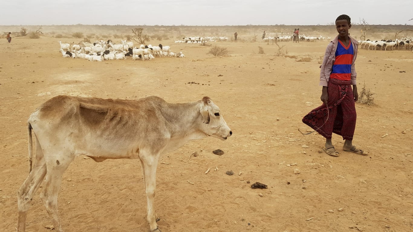 Dürre in Äthiopien: Die Weltklimakonferenz in Bonn hat einen Hilfsfonds für Entwicklungsländer fortgeschrieben.