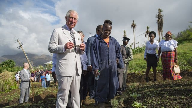 Prinz Charles besuchte auf der Insel Dominica die "Bellevue Chopin Farm". Prinz Charles besuchte auf der Insel Dominica die "Bellevue Chopin Farm".