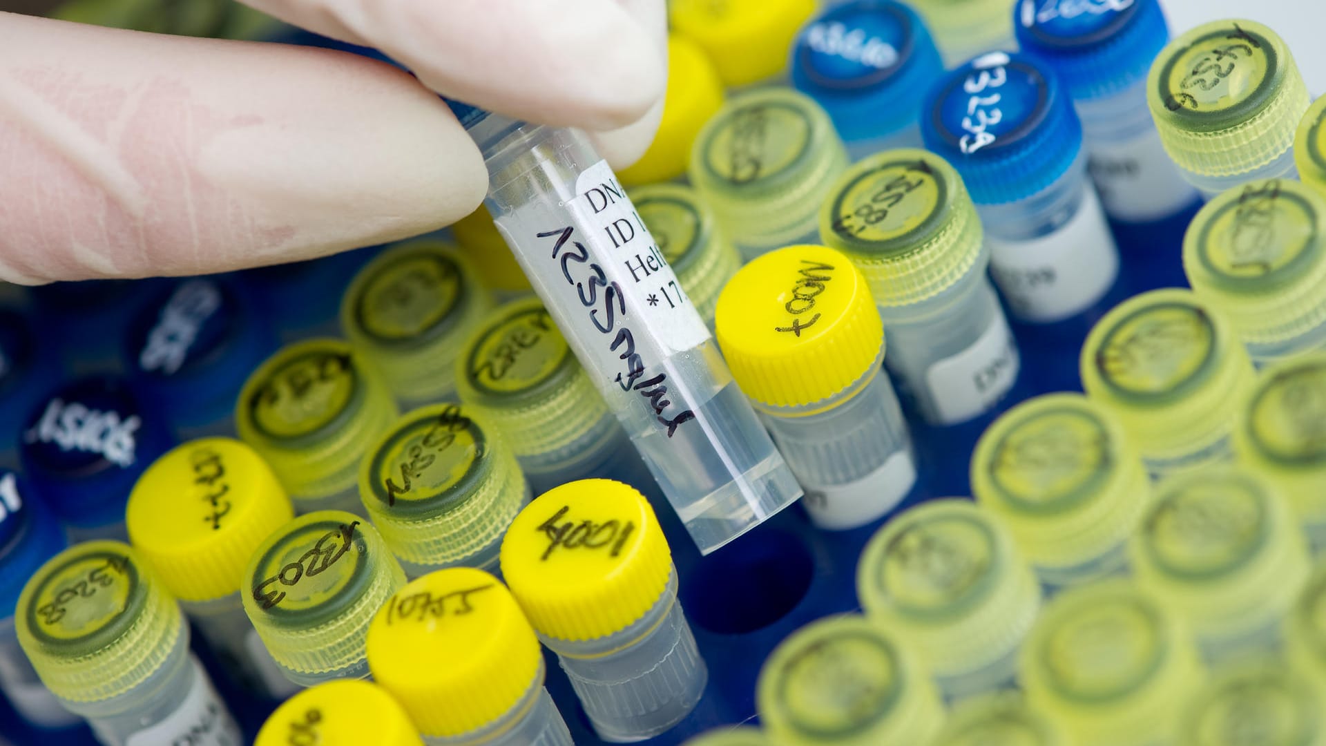DNA-Röhrchen in einem Behälter DNA-Röhrchen in einem Behälter