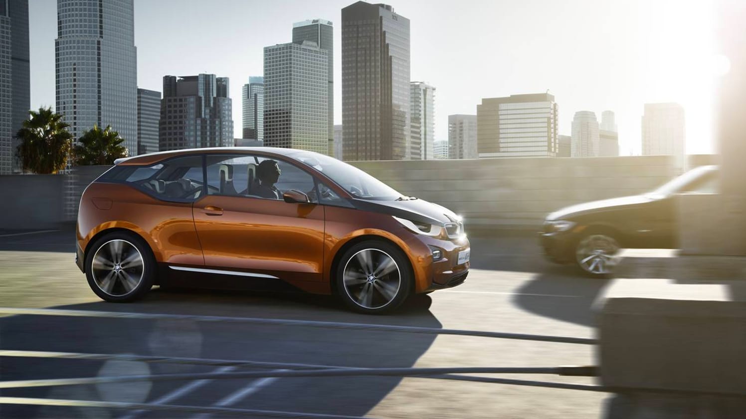 Fast alle EU-Staaten beteiligen sich an einer klimafreundlichen Politik. Frankreich und Großbritannien haben sogar ein Aus des Verbrennungsmotors für 2040 angekündigt. Fast alle EU-Staaten beteiligen sich an einer klimafreundlichen Politik. Frankreich und Großbritannien haben sogar ein Aus des Verbrennungsmotors für 2040 angekündigt.