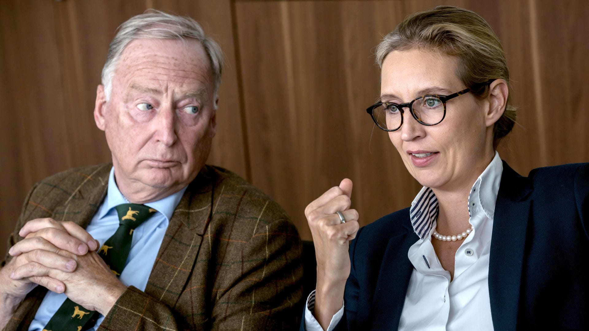 Die AfD-Politiker Alexander Gauland und Alice Weidel: Bei Neuwahlen droht ihrer Partei neuer Streit.