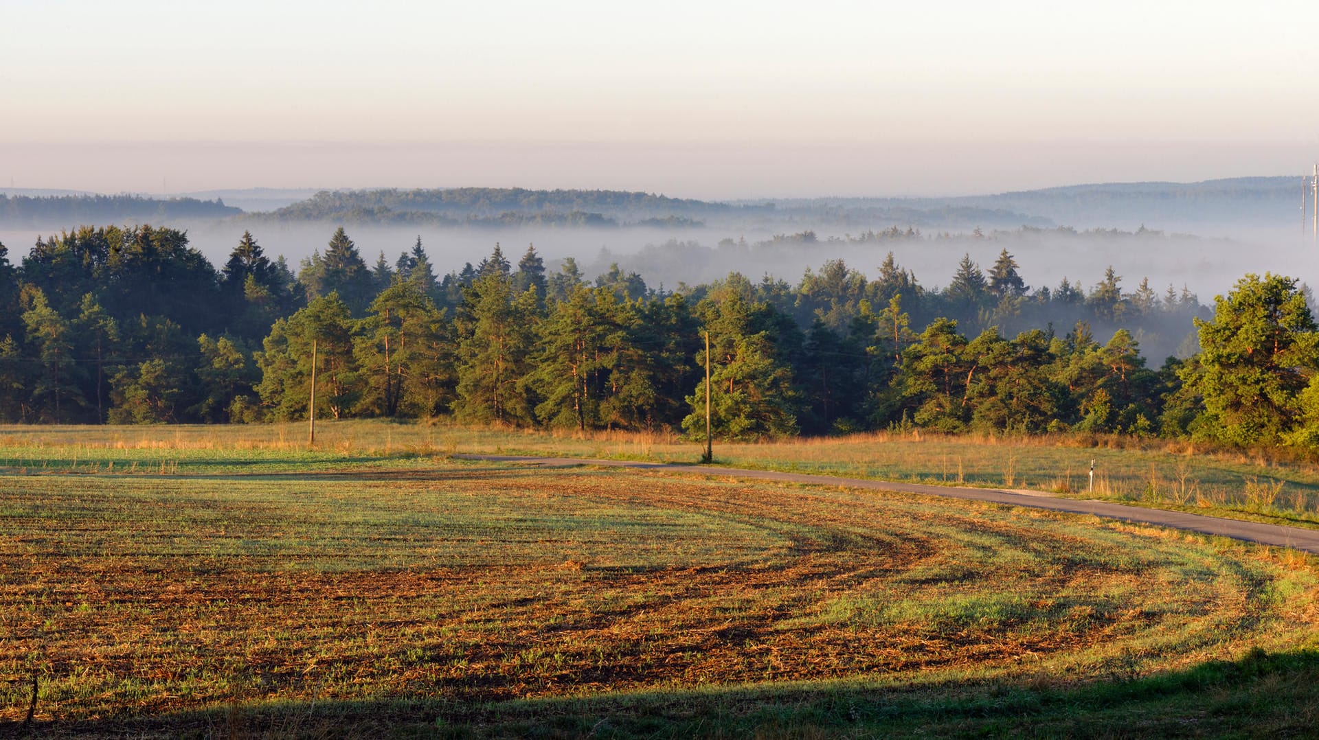 Waldlandschaft in Oberbayern: In dieser Region wurde die Leiche entdeckt. Waldlandschaft in Oberbayern: In dieser Region wurde die Leiche entdeckt.