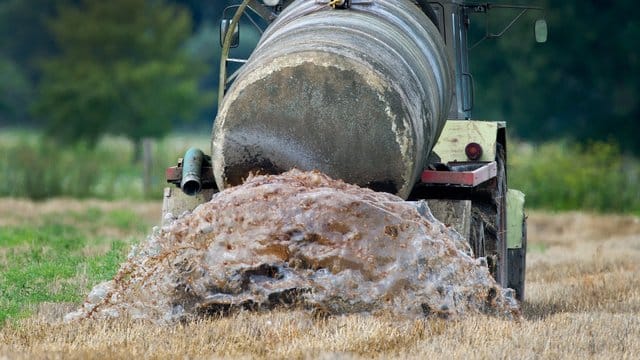Die EU hatte Deutschland wegen zu hoher Nitratbelastungen im Grundwasser verklagt. Die EU hatte Deutschland wegen zu hoher Nitratbelastungen im Grundwasser verklagt.