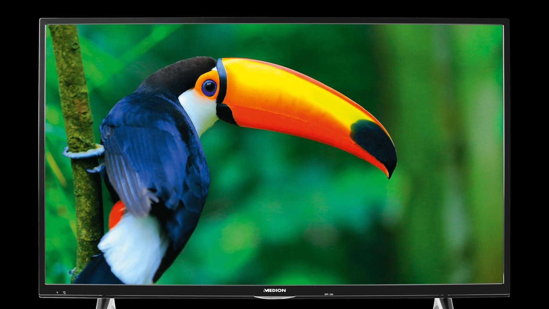 Aldi Nord 4KFernseher TVSchnäppchen mit Lücken