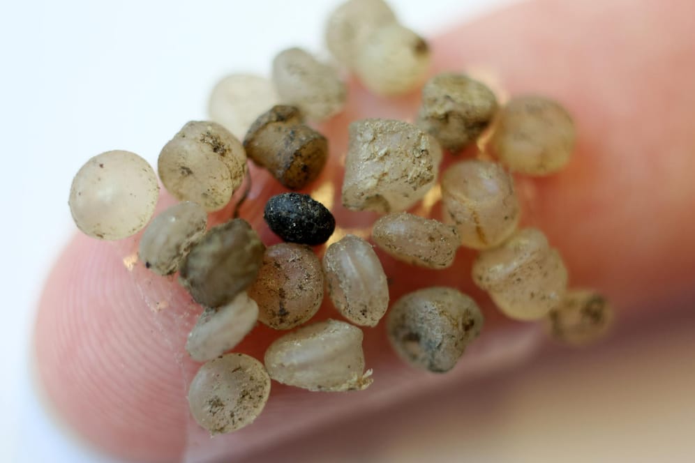 Mikroplastik-Teilchen, die am Ufer der Warnow in Rostock gefunden wurden, kleben an einem Klebestreifen an einem Finger.