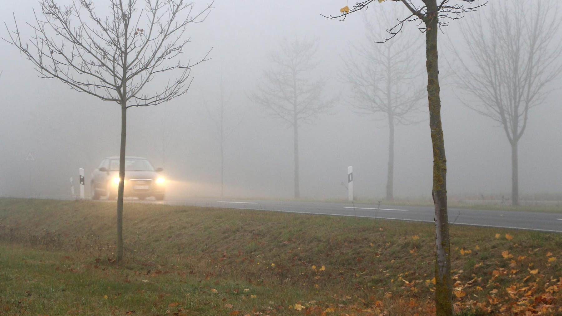 Autofahren bei Nebel Nebelschlussleuchte Wann darf man sie einschalten?