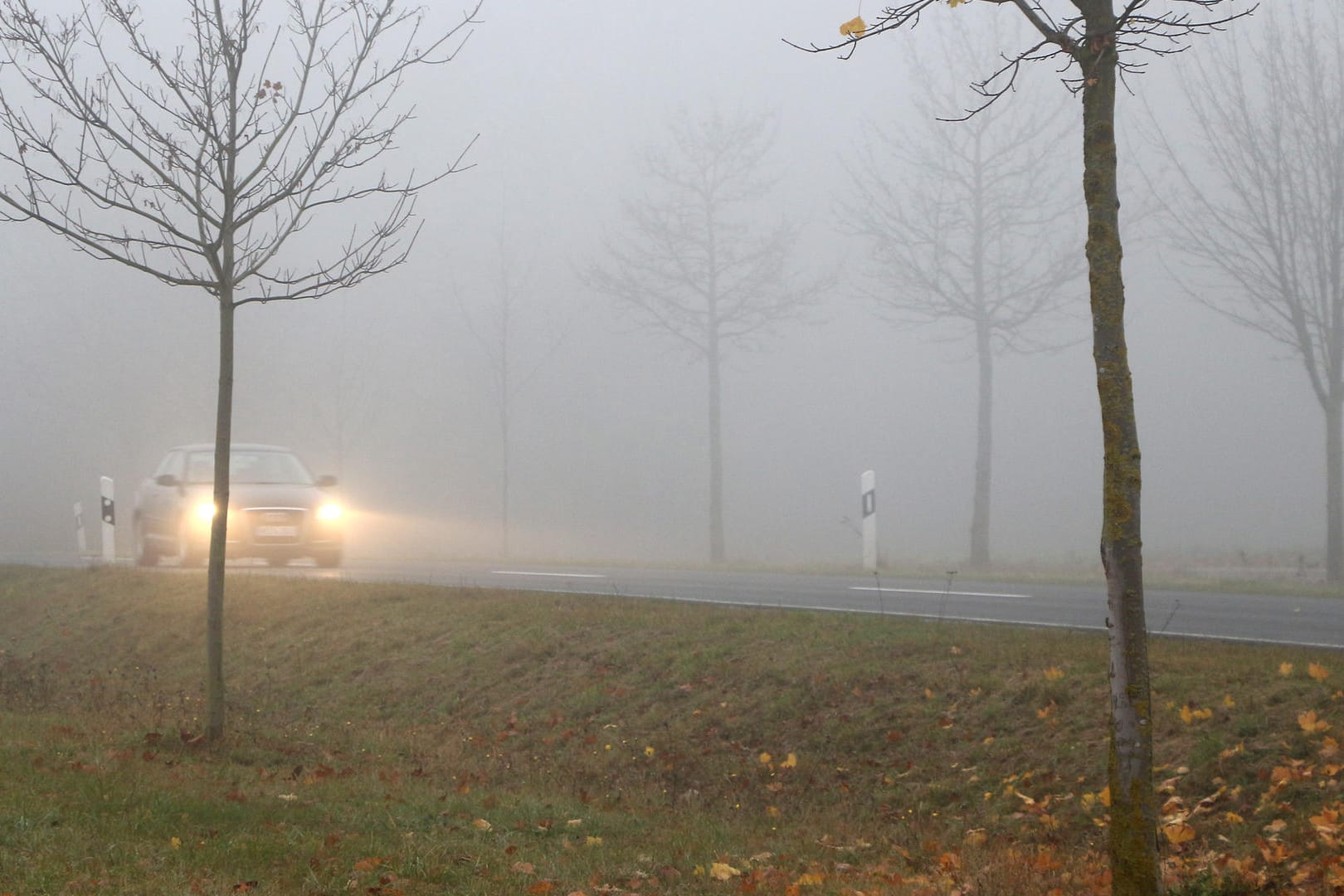 Fahren bei Nebel: Wer die Leuchte missbräuchlich anmacht, muss mit einem Bußgeld rechnen.