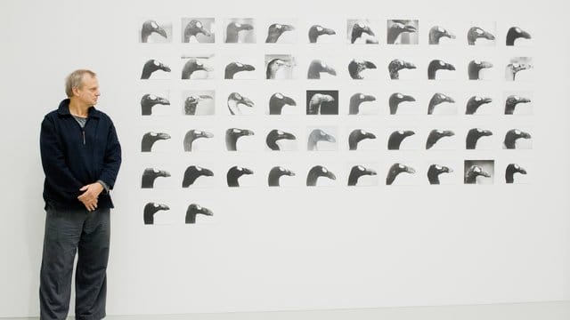 Jochen Lempert vor seiner Werkserie "The Skins of Alca impennis" (1992-2017). Jochen Lempert vor seiner Werkserie "The Skins of Alca impennis" (1992-2017).