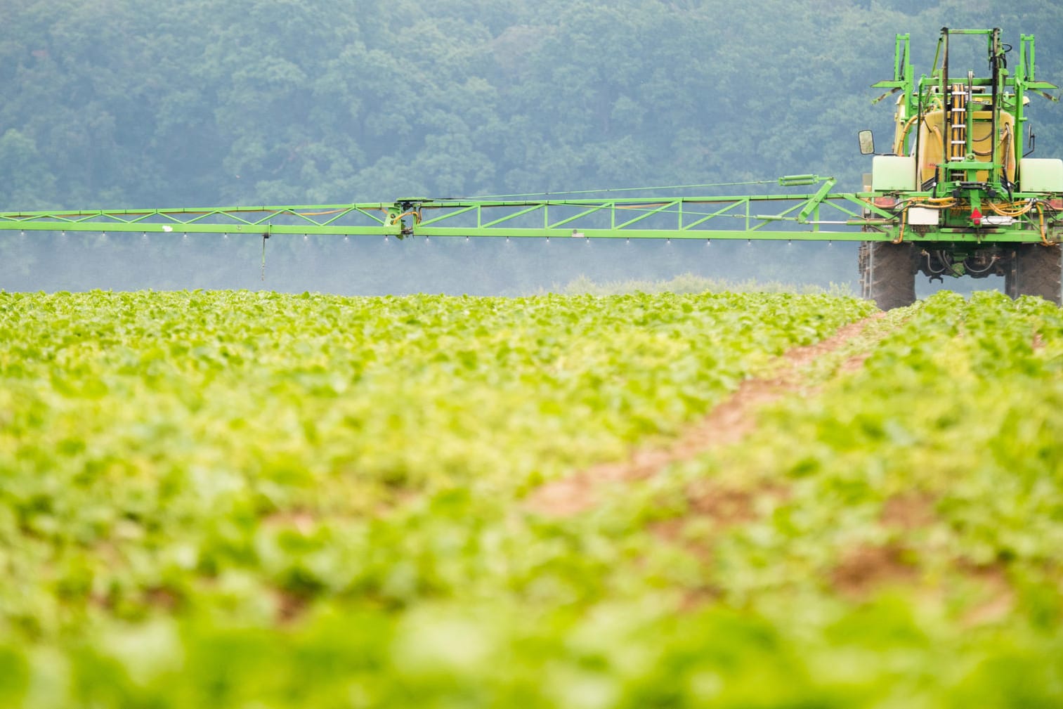Ein Landwirt sprüht Herbizide zur Vernichtung von Unkraut auf ein Feld.