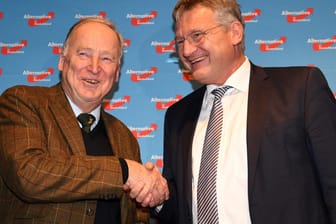 Alexander Gauland und Jörg Meuthen: Führen die AfD in den kommenden zwei Jahren gemeinsam.