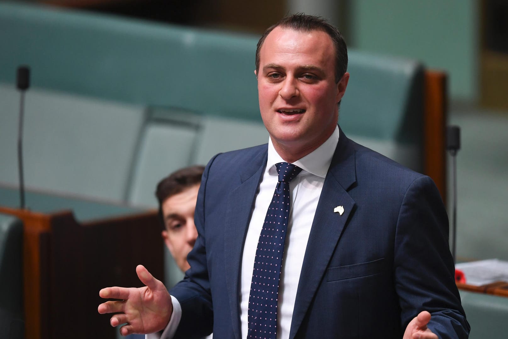 Tim Wilson hat eine Parlamentsdebatte über die gleichgeschlechtliche Ehe für einen Heiratsantrag genutzt.