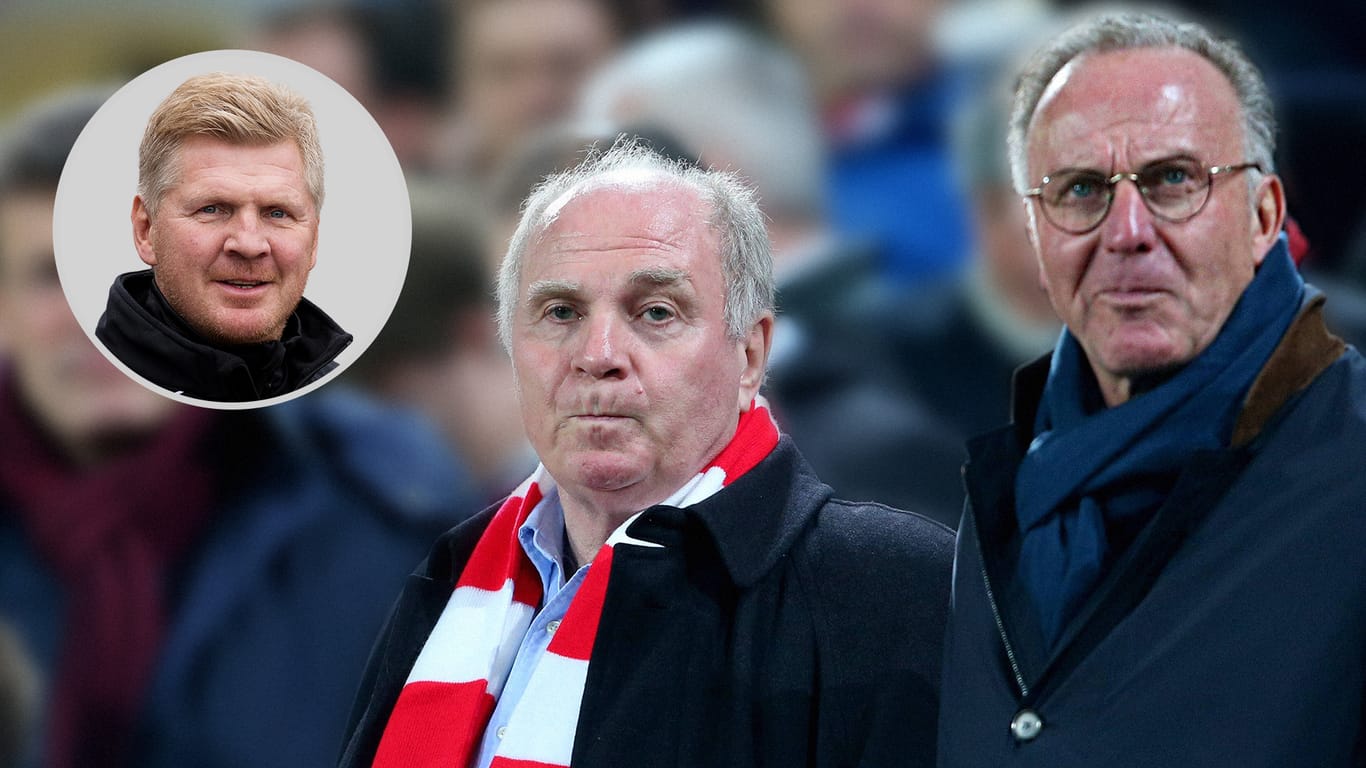 Stefan Effenberg ist der Meinung, dass die Bayern-Bosse die Trainerdiskussion eindämmen müssen.