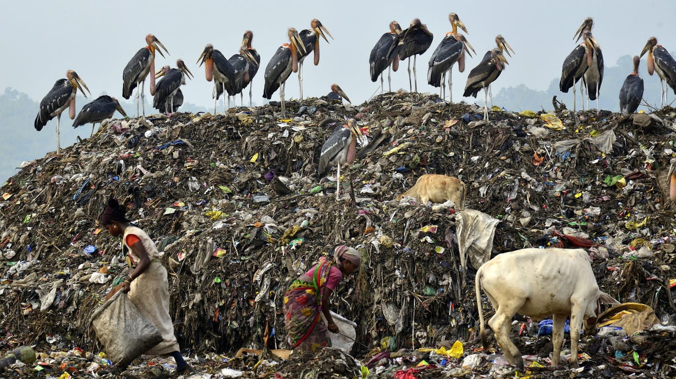 Müllsammlerinnen bei Guwahati City: In Indien ist Armut immer noch weit verbreitet.