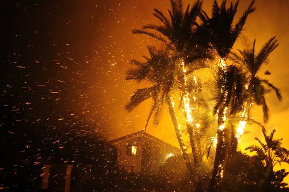Im kalifornischen Santa Paula brennen Palmen vor einem Haus nieder.