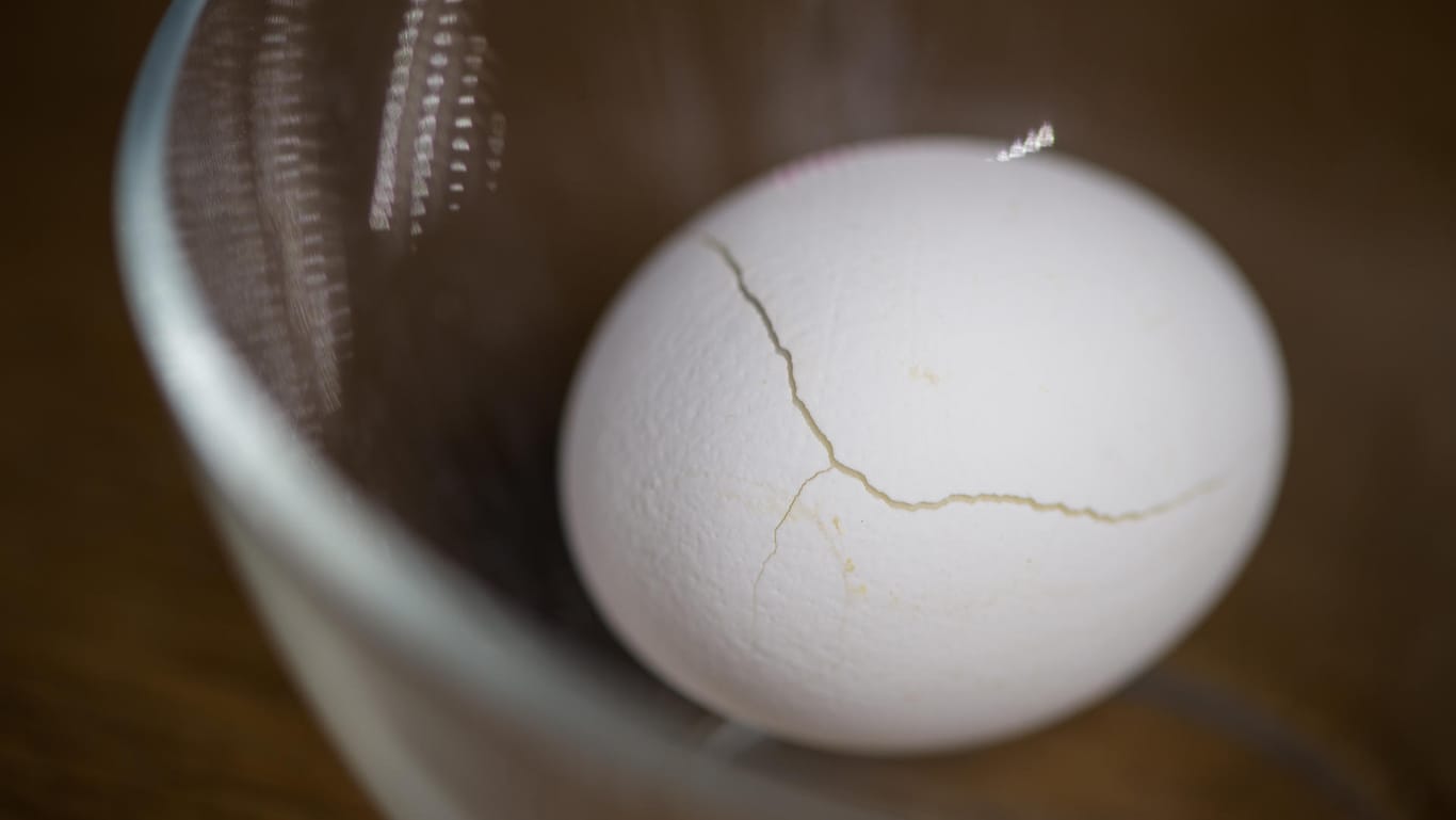 Akustikexperten haben untersucht warum ein hartes, in der Mikrowelle erwärmtes Ei explodiert und welche Folgen das haben kann.