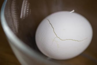 Akustikexperten haben untersucht warum ein hartes, in der Mikrowelle erwärmtes Ei explodiert und welche Folgen das haben kann.