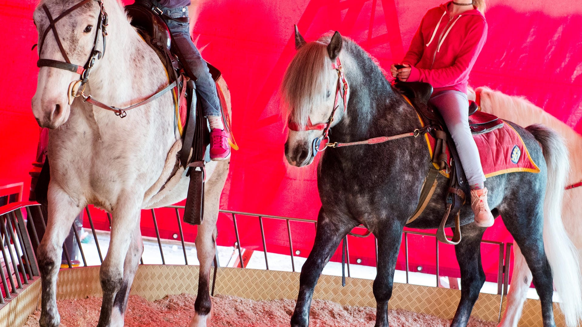 Der 23-Jährige soll im April 2016 im Reitsalon Alt-Wien auf dem Hamburger Dom die Ponys erschreckt haben.