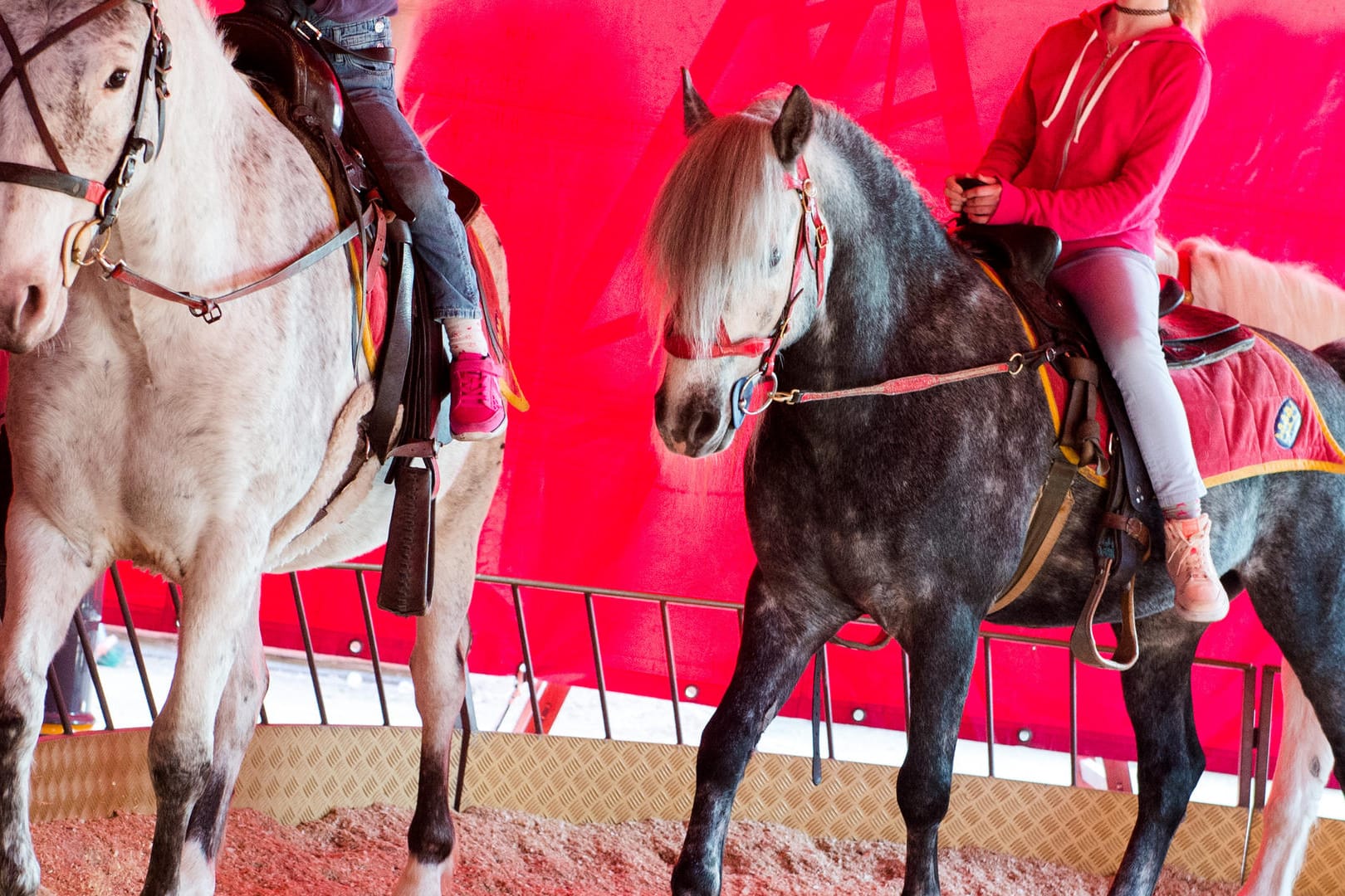 Der 23-Jährige soll im April 2016 im Reitsalon Alt-Wien auf dem Hamburger Dom die Ponys erschreckt haben.