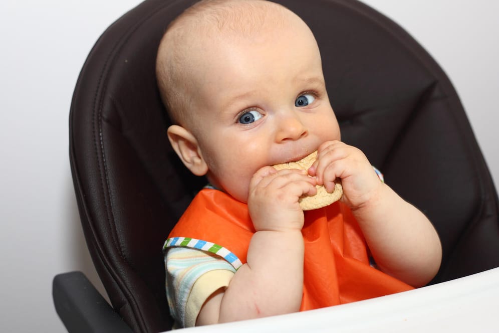 Baby eating a cookie