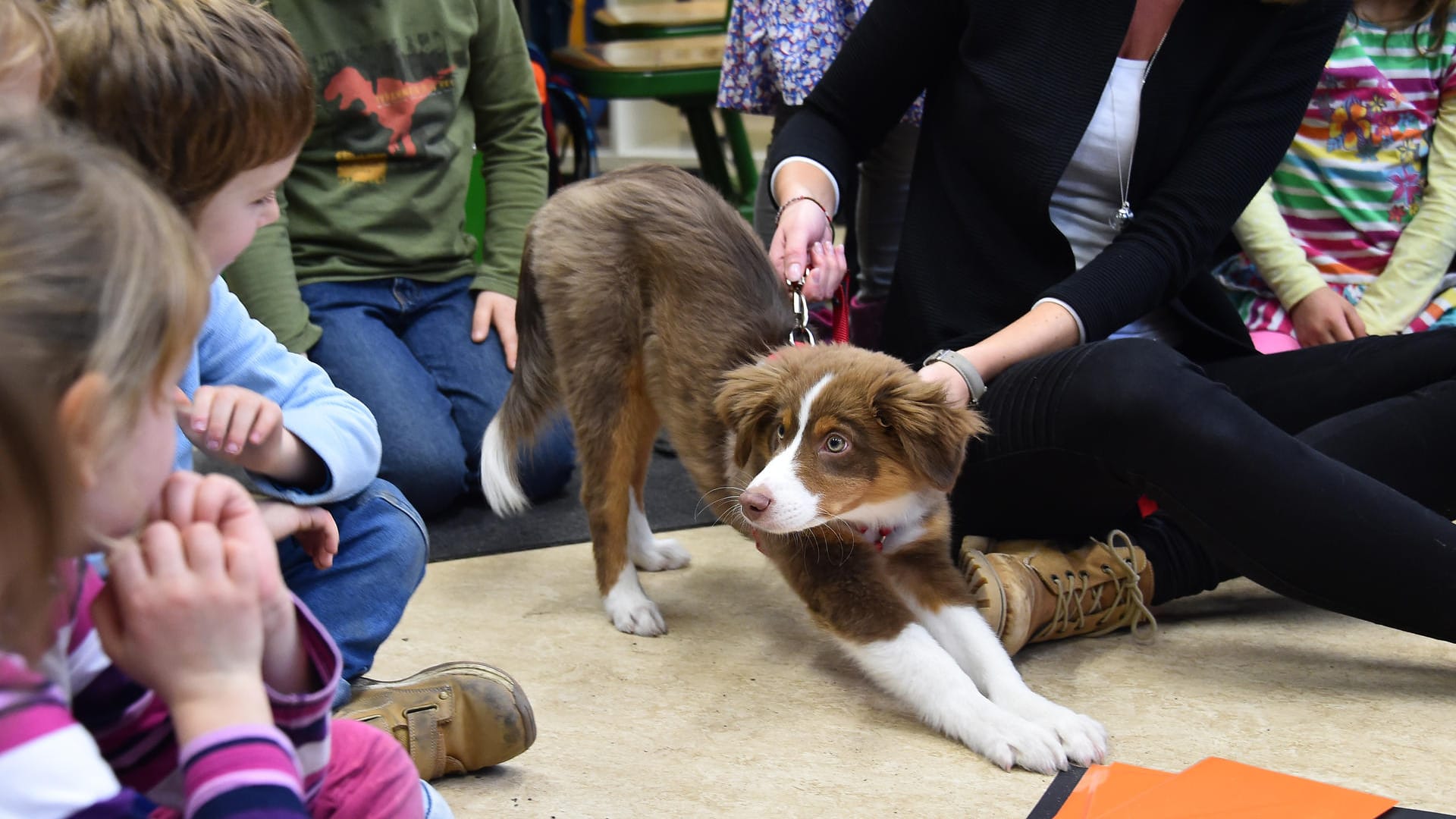 Die Schüler haben nicht nur Spaß mit einem Hund im Klassenzimmer, sondern erlernen auch Rücksicht und Verantwortung.