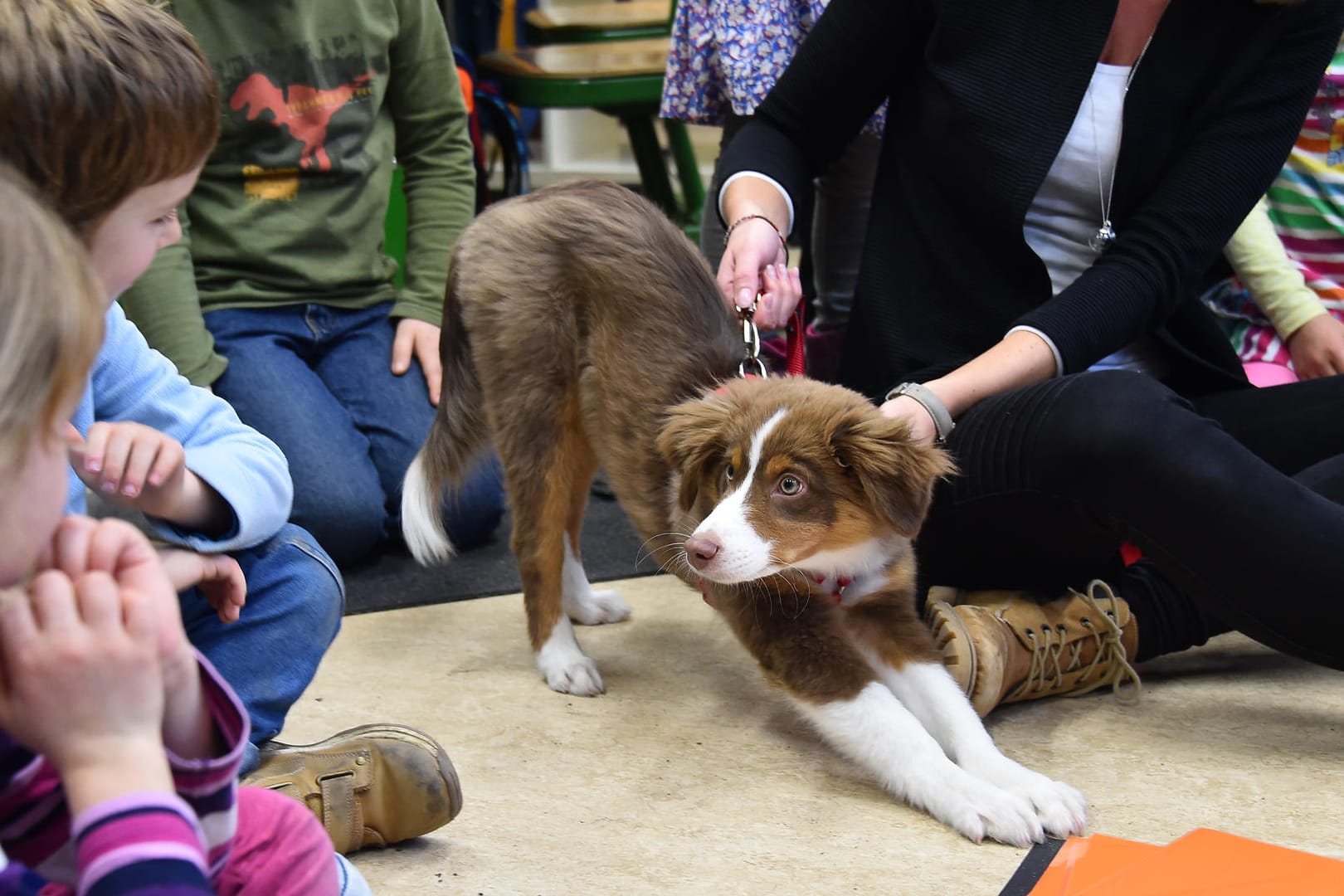 Die Schüler haben nicht nur Spaß mit einem Hund im Klassenzimmer, sondern erlernen auch Rücksicht und Verantwortung.