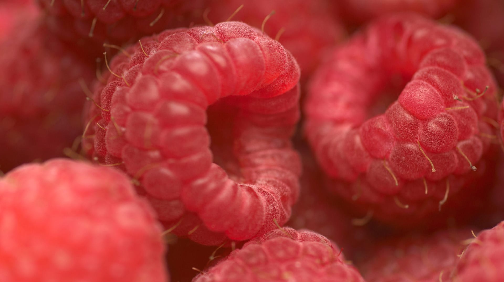 Bestimmte tiefgekühlte Himbeeren werden derzeit zurückgerufen.