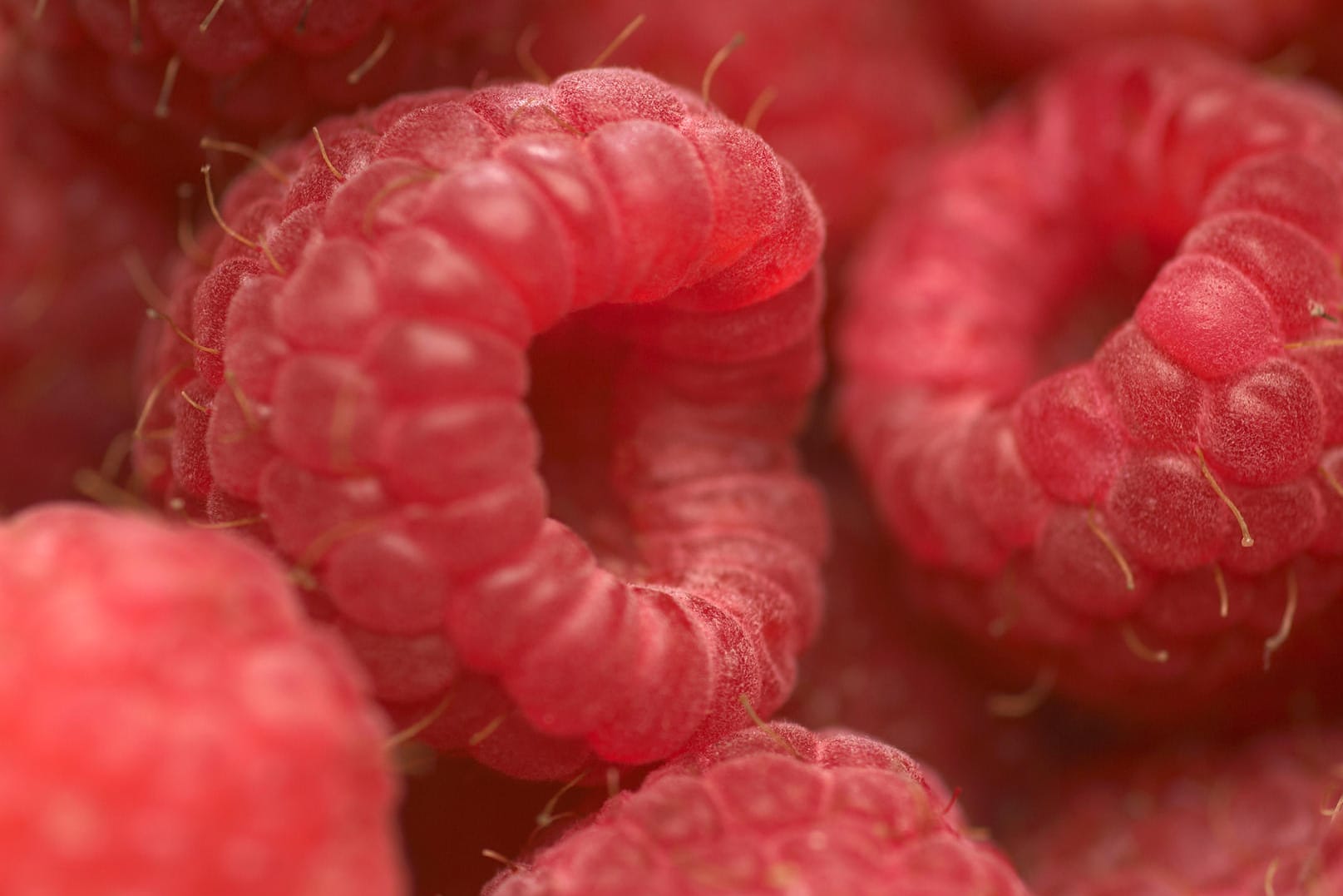 Bestimmte tiefgekühlte Himbeeren werden derzeit zurückgerufen.