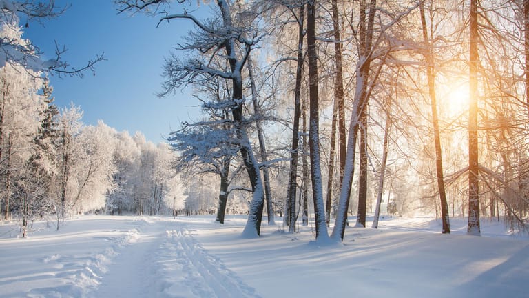 Schnee: Er kann ein massives Gewicht erlangen und Hausdächer zum Ein- oder Bäume zum Umstürzen bringen.