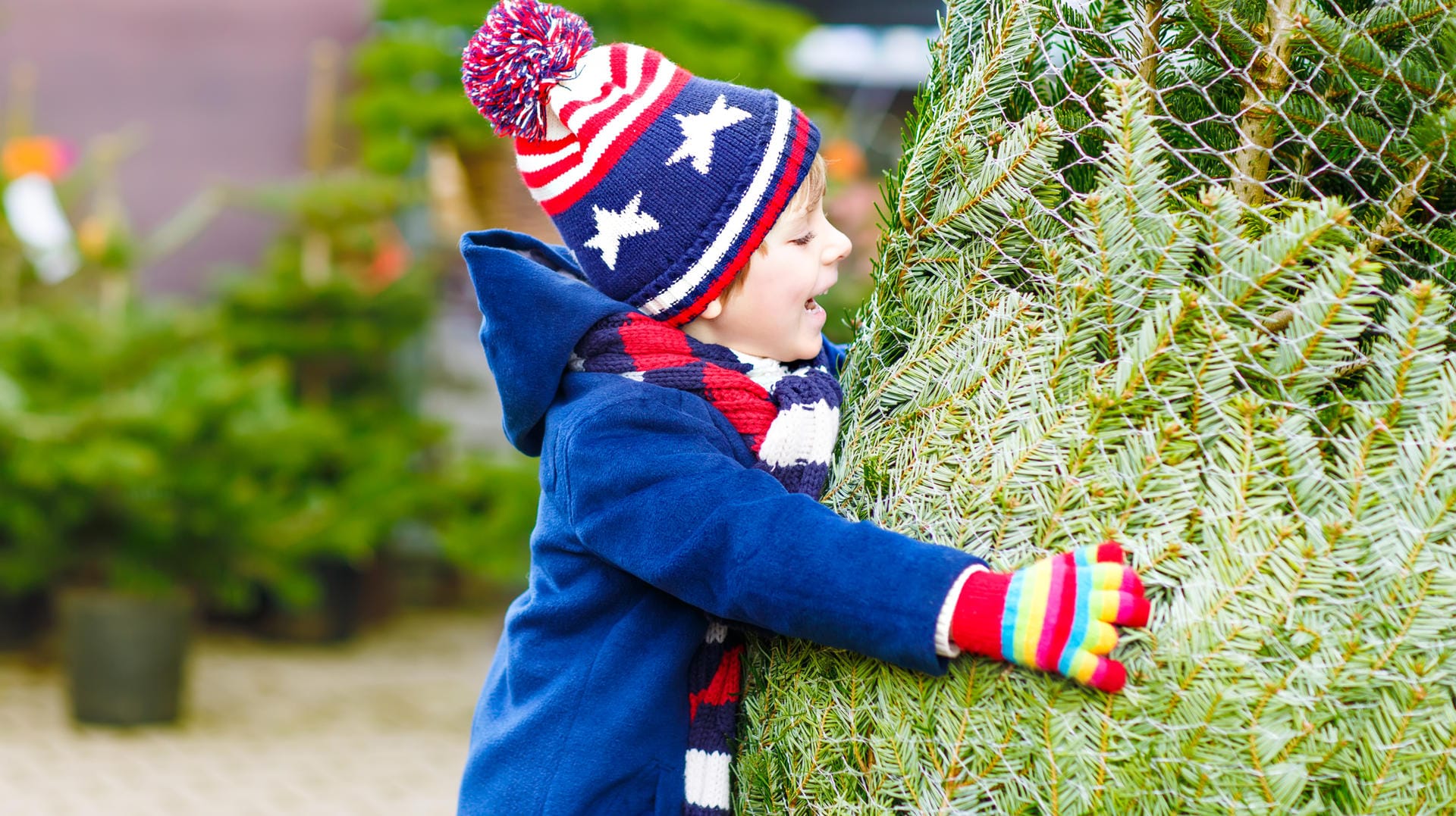 Junge umarmt Tannenbaum