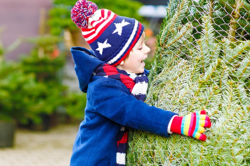 Junge umarmt Tannenbaum
