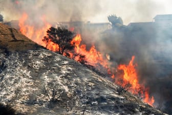 Obdachlose lösten das Feuer aus: Auf einem Hügel in Bel Air lodern in der Nähe der Häuser Flammen.