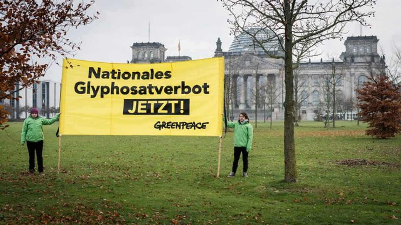 Greenpeace-Aktivisten protestieren Ende November vor dem Reichstag in Berlin.