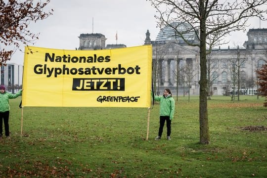 Greenpeace-Aktivisten protestieren Ende November vor dem Reichstag in Berlin.