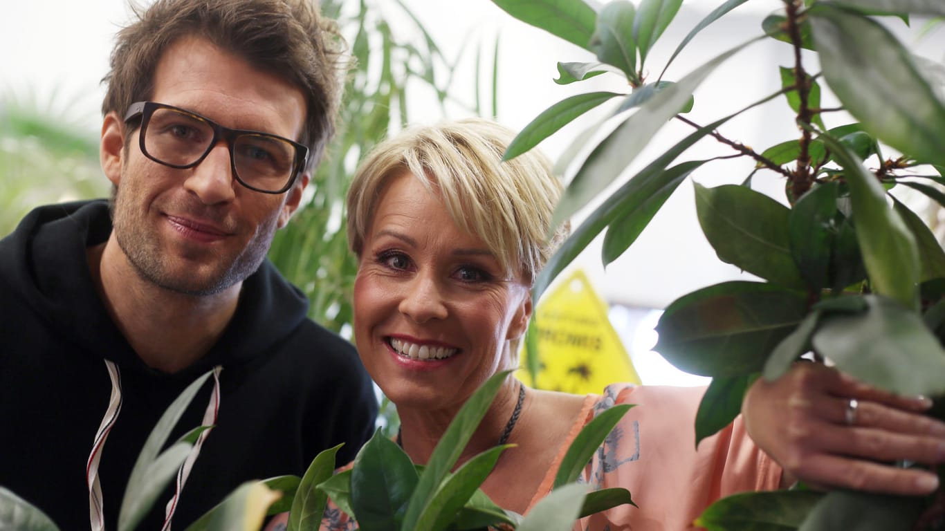 Daniel Hartwich und Sonja Zietlow: Beide moderieren die Dschungel-Show.