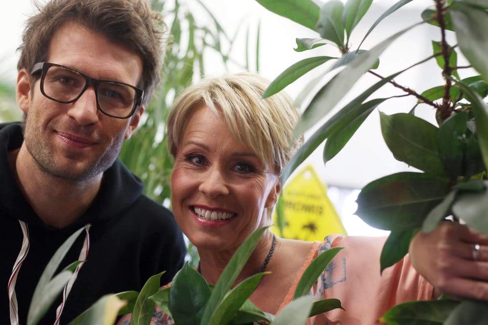Daniel Hartwich und Sonja Zietlow: Beide moderieren die Dschungel-Show.