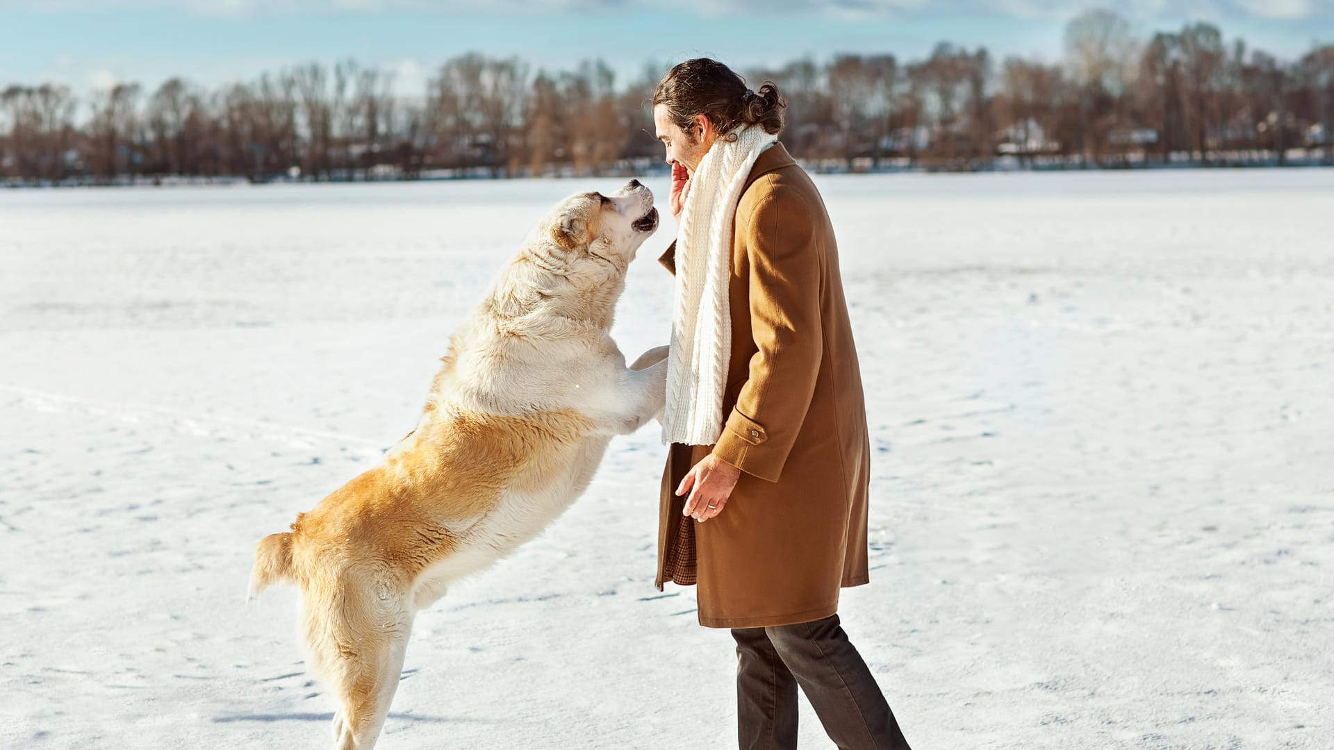 Hundeerziehung: Springt der Hund Fremde an, wird das schnell zum Problem.