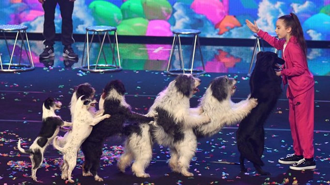 Die zehnjährige Alexa mit ihren Hunden im Finale der RTL Show "Das Supertalent 2017".