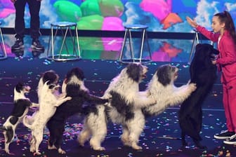 Die zehnjährige Alexa mit ihren Hunden im Finale der RTL Show "Das Supertalent 2017".