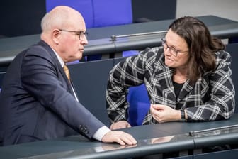 Schwarz-rote Annäherung: Die Fraktionschefs Volker Kauder (li., CDU) und Andrea Nahles (SPD) im Gespräch.