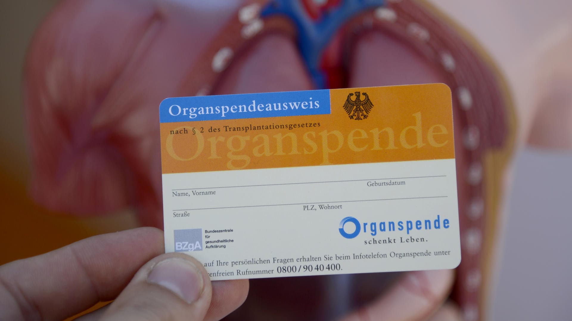 Organspendeausweis Organspendeausweis
