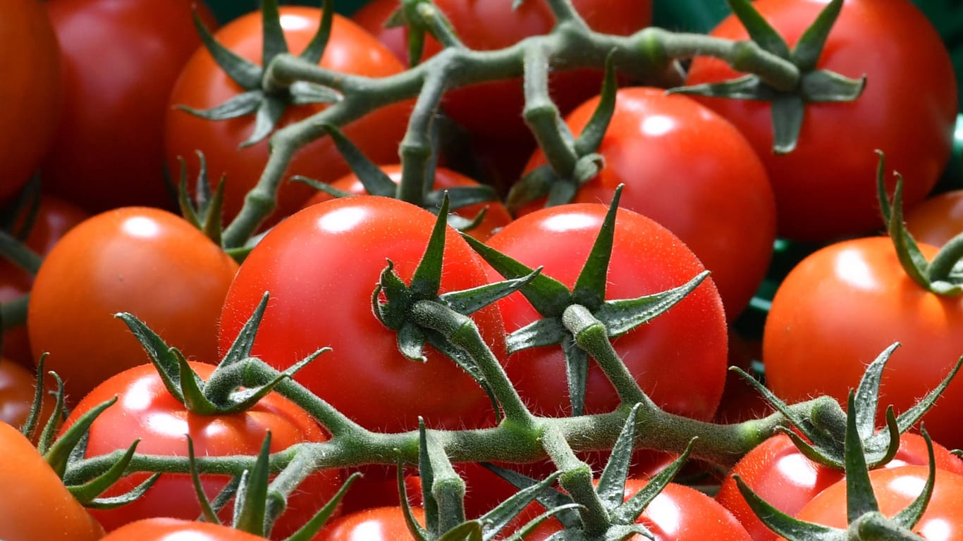 Tomaten gehören zu den problematischen Lebensmitteln.