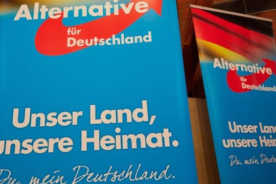 Die AfD strebt die Anerkennung einer parteinahen Stiftung an.