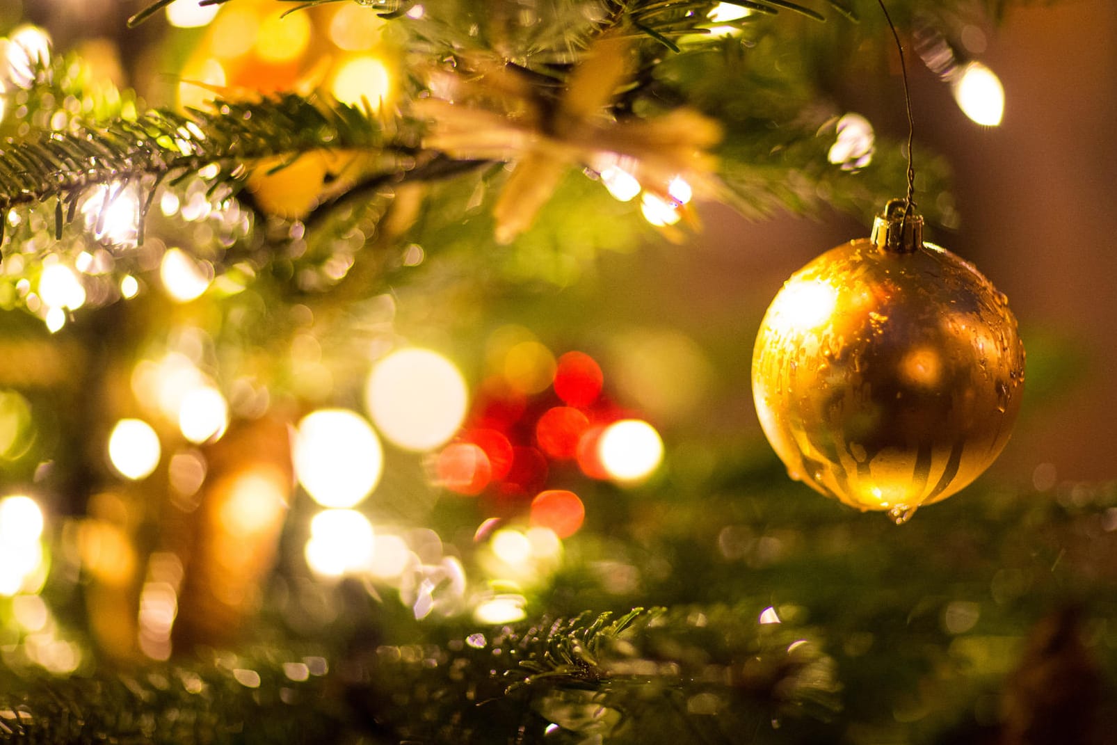 Weihnachtsbaum: t-online.de wünscht Ihnen ein frohes Fest