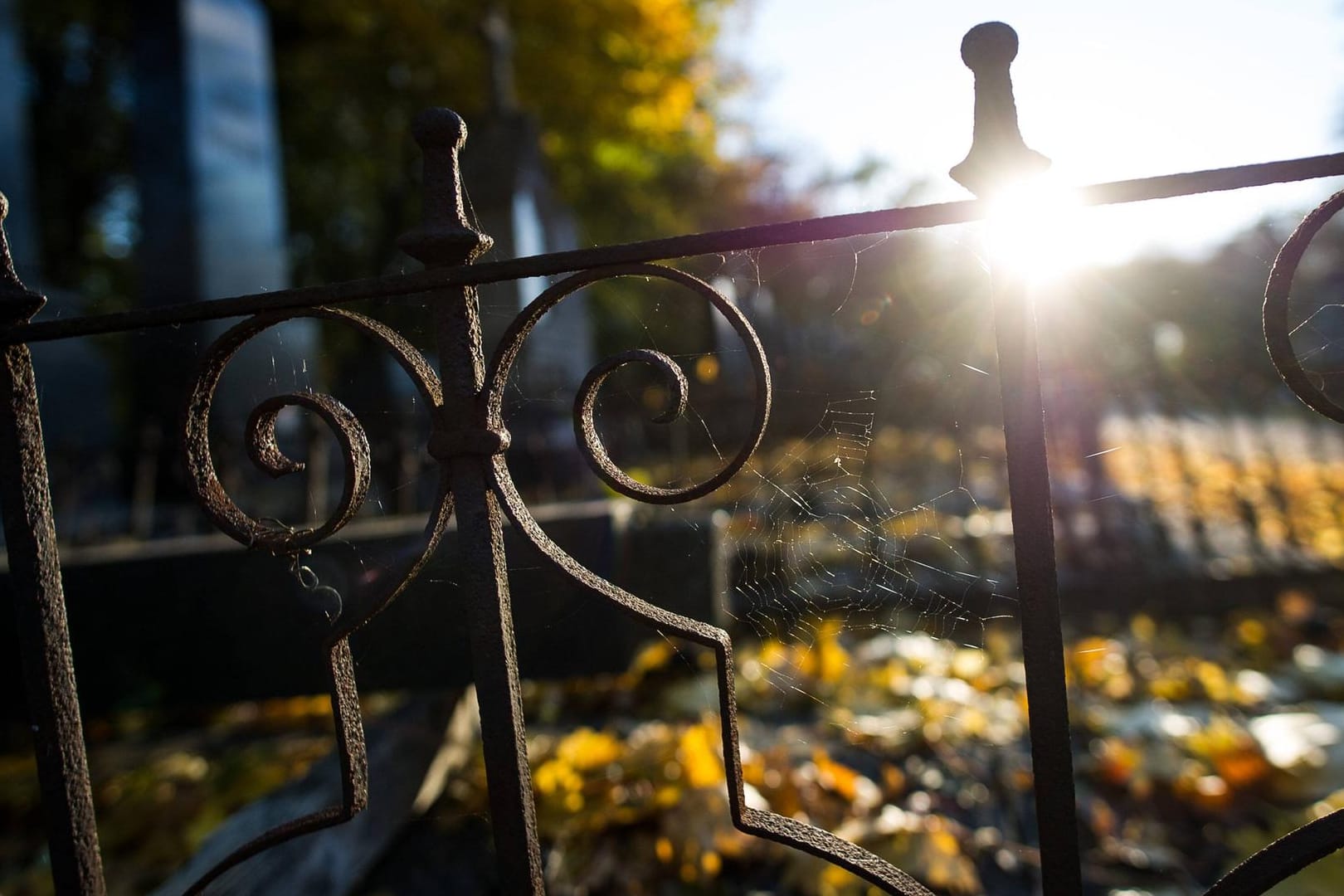 Ein rostiger Zaun begrenzt eine Grabfläche auf einem Friedhof.