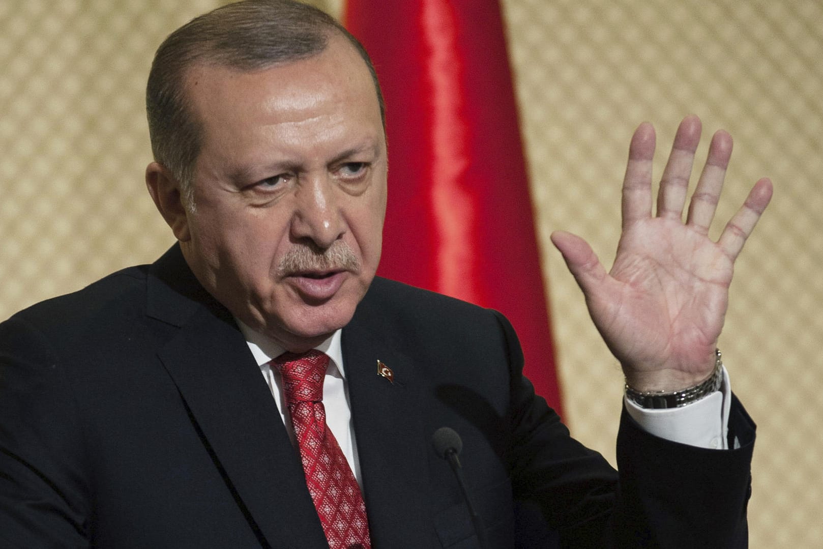 Der türkische Präsident Recep Tayyip Erdogan spricht bei einer Pressekonferenz in Karthago. Erdogan fordert eine Nachkriegsordnung in Syrien ohne Assad.