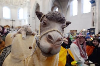Eine Kamel-Attrappe steht im Dom in Trier.